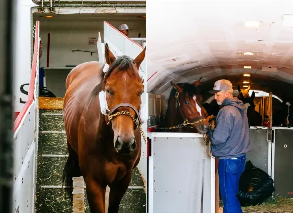 Air Horse One: Racehorse Logistics